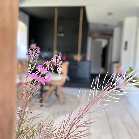 Mieszkanko Appartamento *