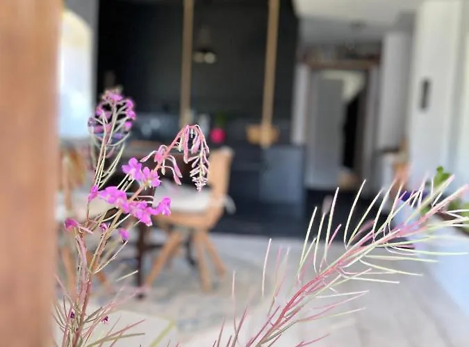 Mieszkanko Apartment *